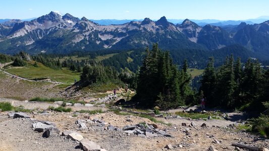 Mount Rainier National Park