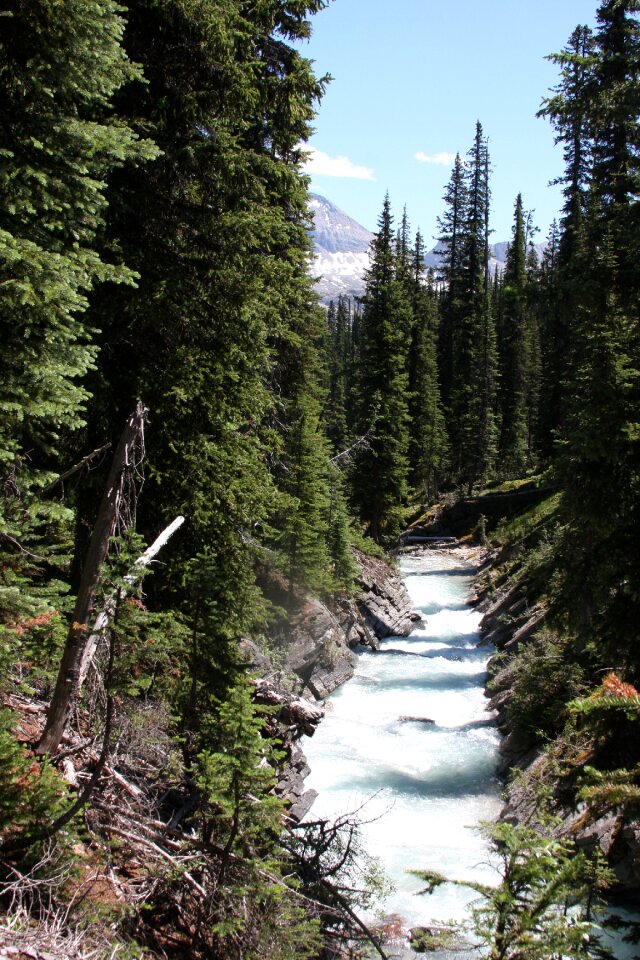 Scenic Kicking Horse River, Yoho National Park