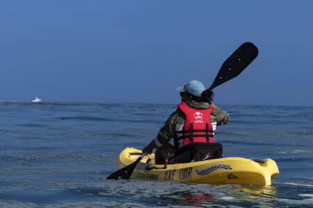 Monterey Bay Ocean Kayaking