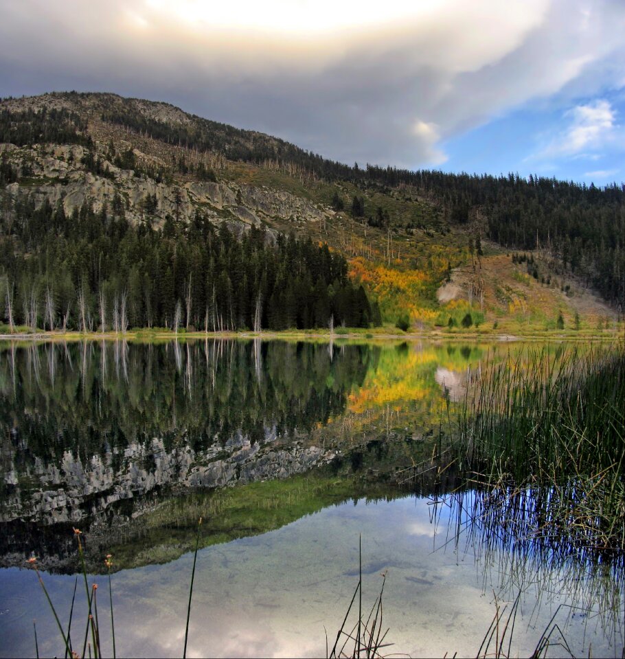 Scotcher Lake Reflections California