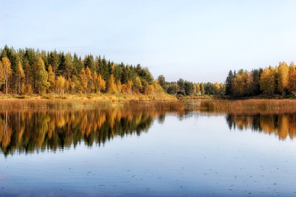 Autumn Lake Reflections In Finland photo