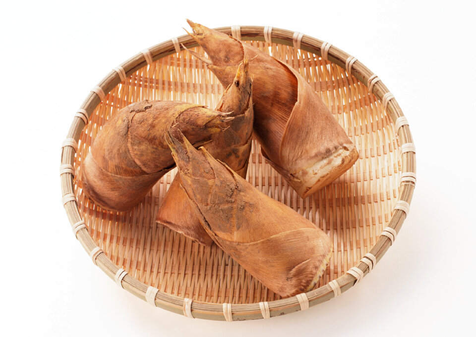 Bamboo shoot on basket