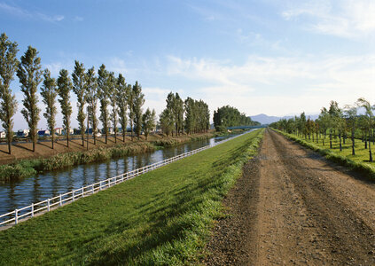 a small river, reeds and a country road photo