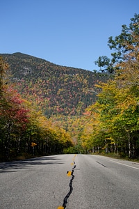 Autumn Foliage Road photo