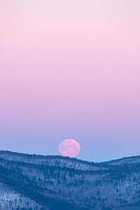 Rising Full Moon photo