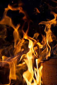 Campfire Flame Wood photo