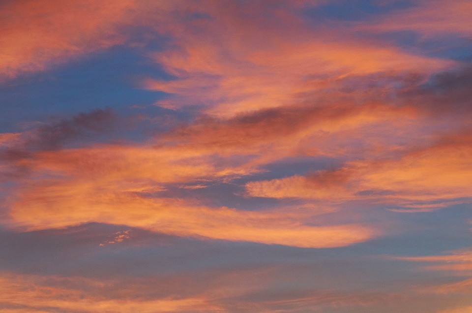 Sunset Pink Sky photo