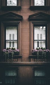 City Windows Facade photo