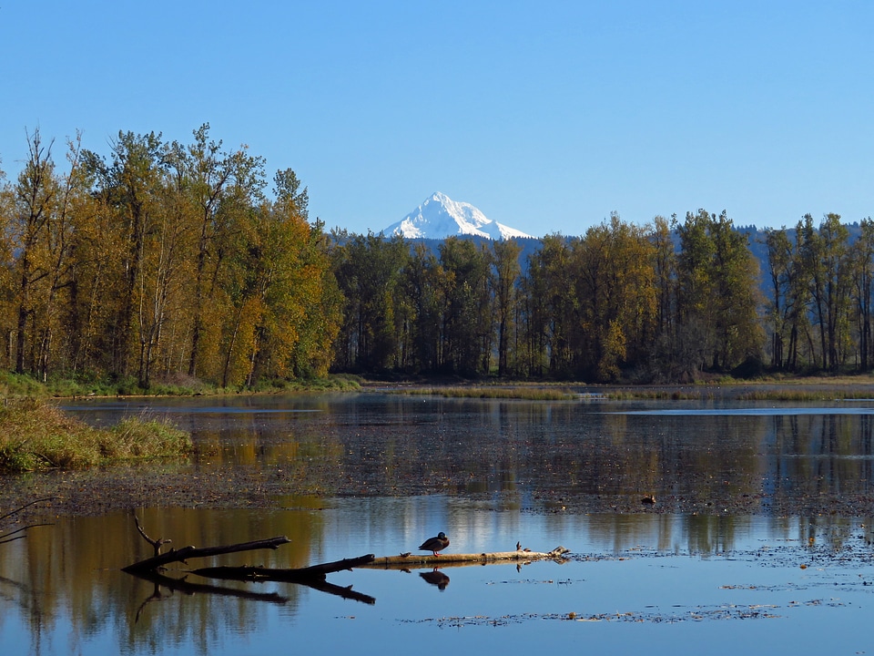 Bird Mountain Lake