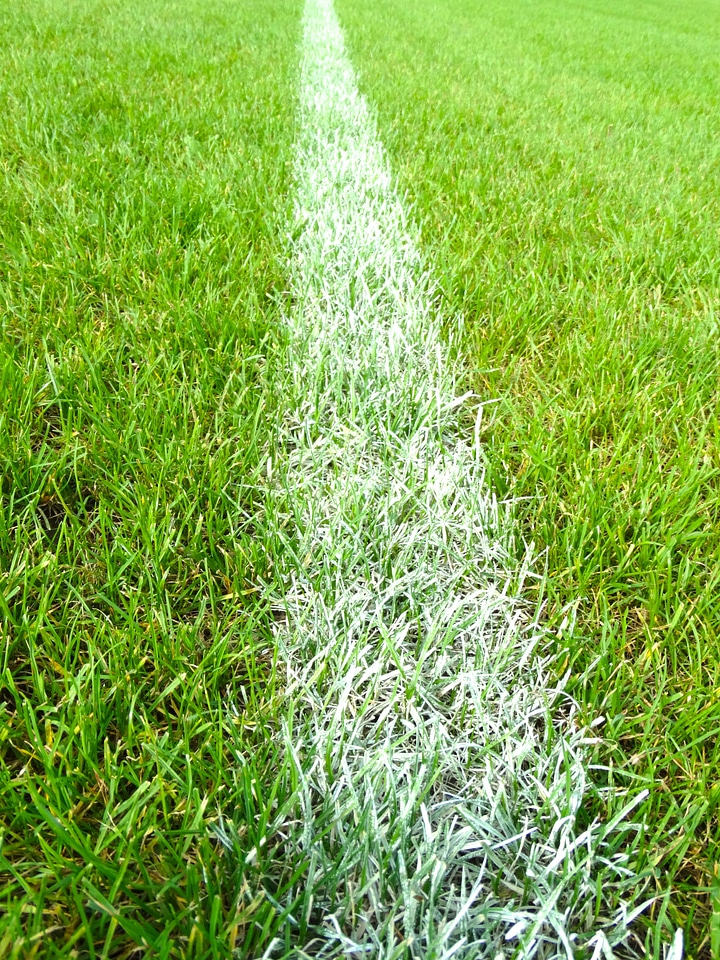 White stripes grass photo