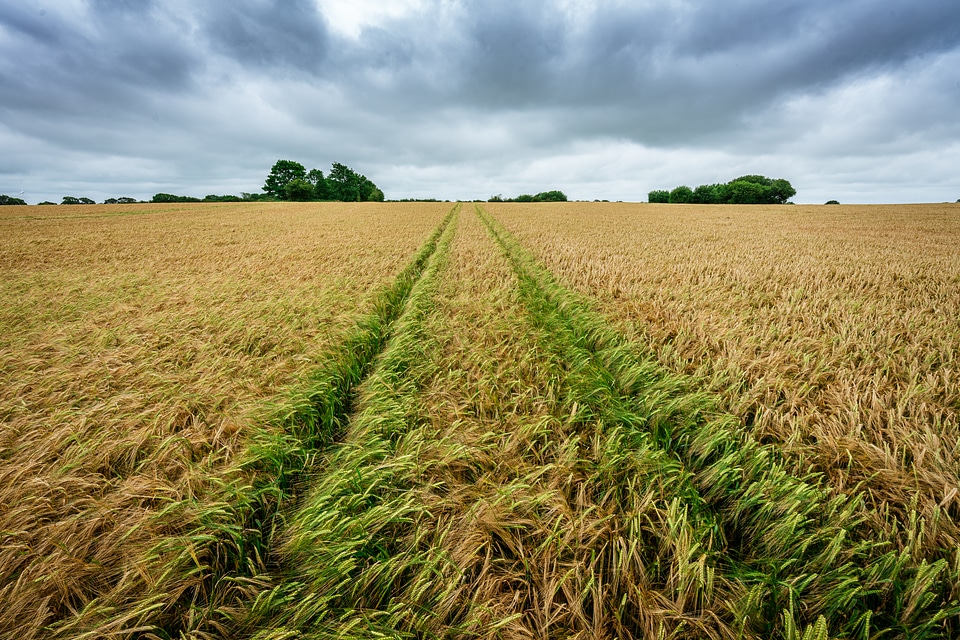 Tractor Field Tracks