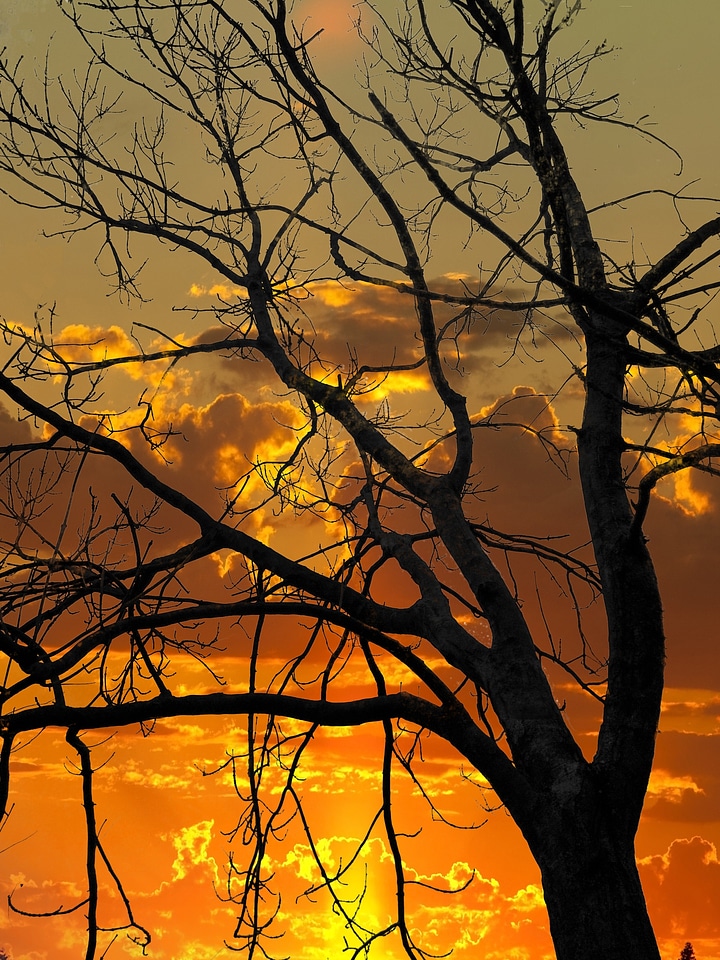 Nature sun landscape