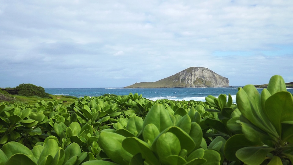 Hawaii Coast photo