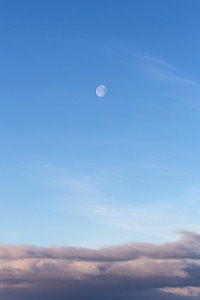 Daytime Moon in Sky photo