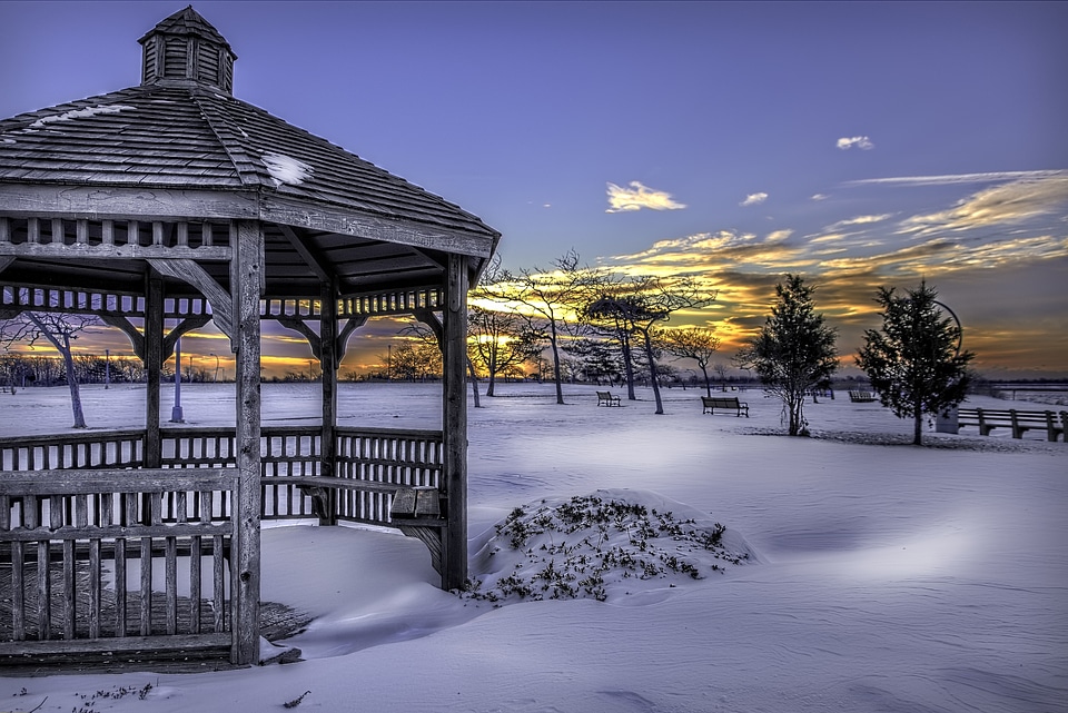 Cold white landscape