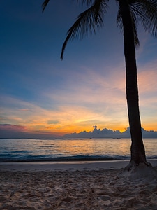 Tropical Beach Sunset photo