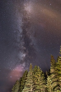 Milky Way Forest photo