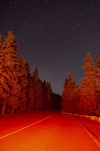 Starry Night Road photo