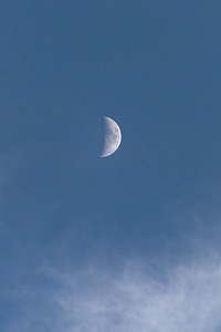 Daytime Moon photo