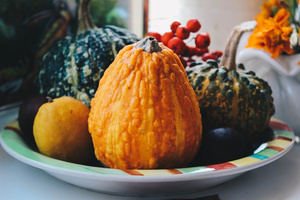 Pumpkin Squash Halloween photo