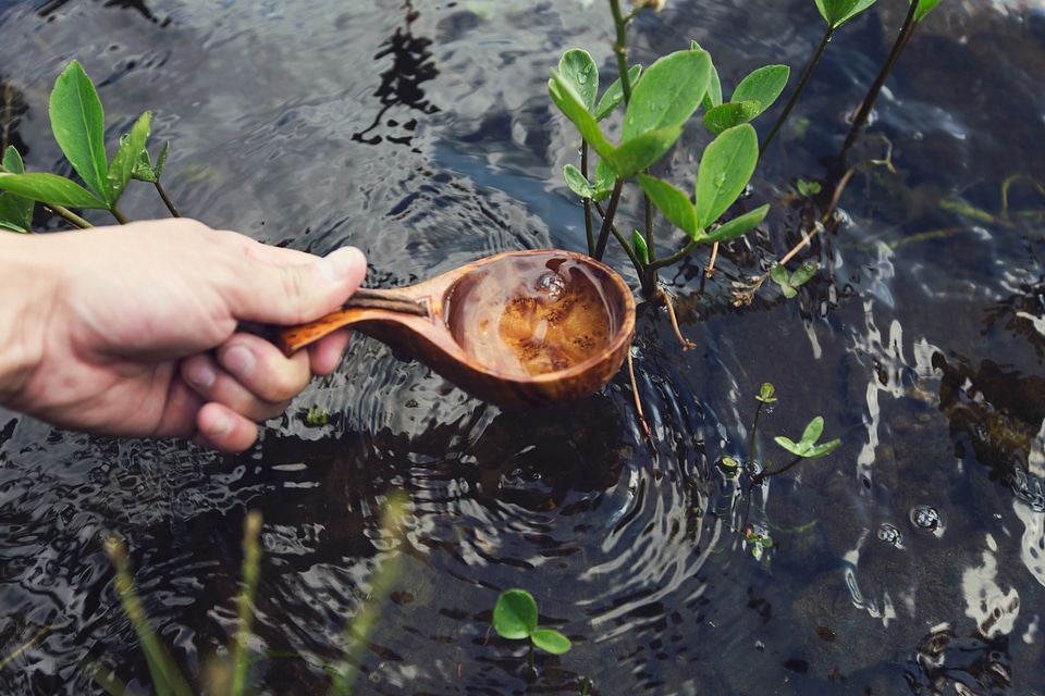 Wooden Spoon Water
