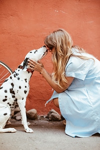 Dalmatian Dog Woman photo