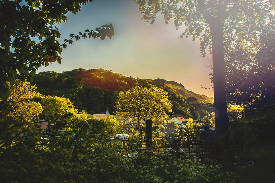 Spring Sunrise Country