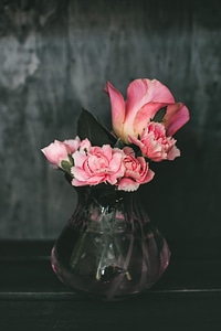 Beautiful Pink Flowers photo