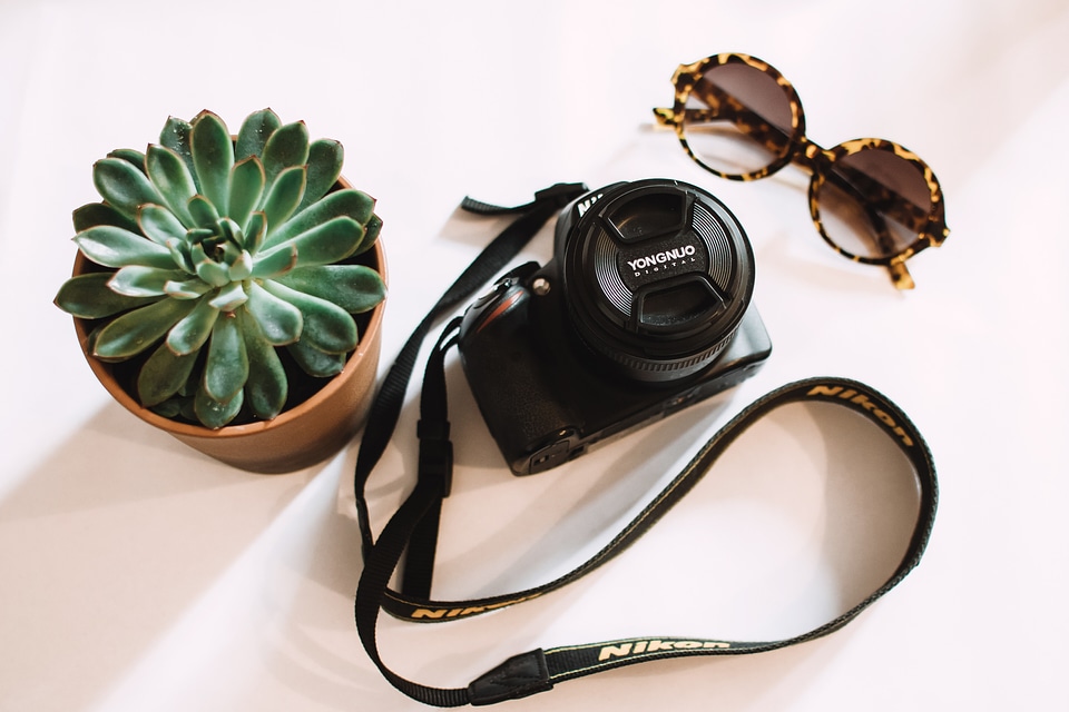 Camera Digital Cactus