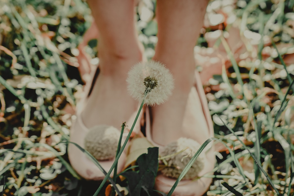 Woman Shoes Dandelion