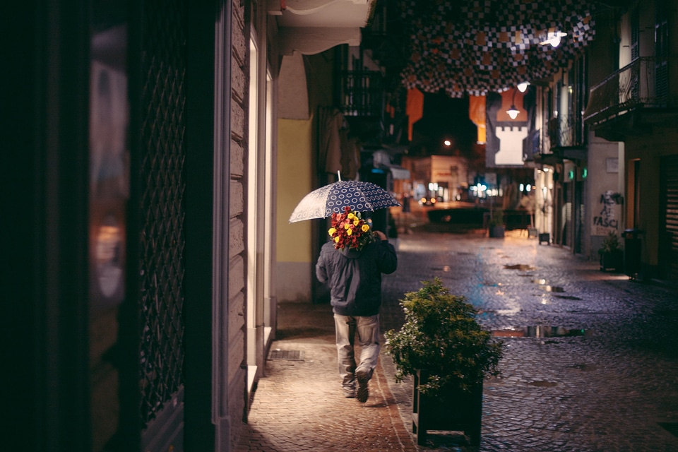 Man Street Flowers Roses