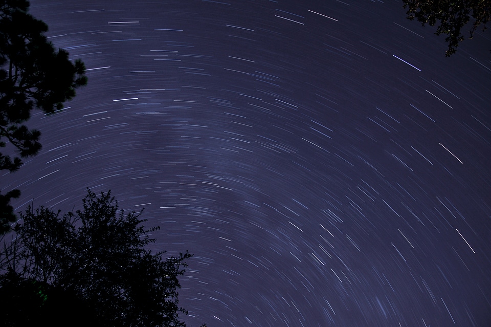 Sky Stars Tree Night Dark photo