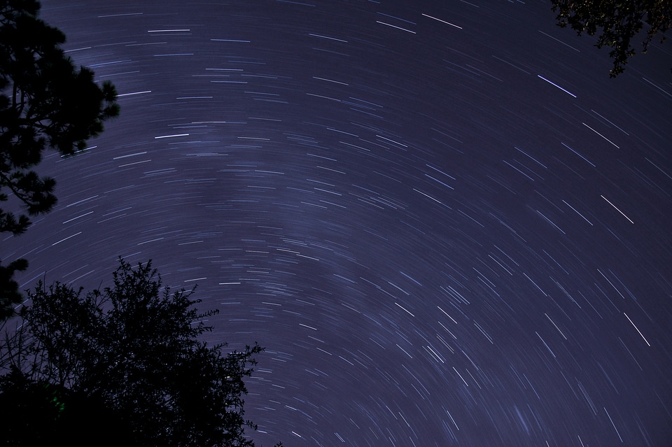 Sky Stars Tree Night Dark