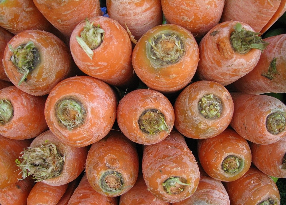 Healthy agriculture organic