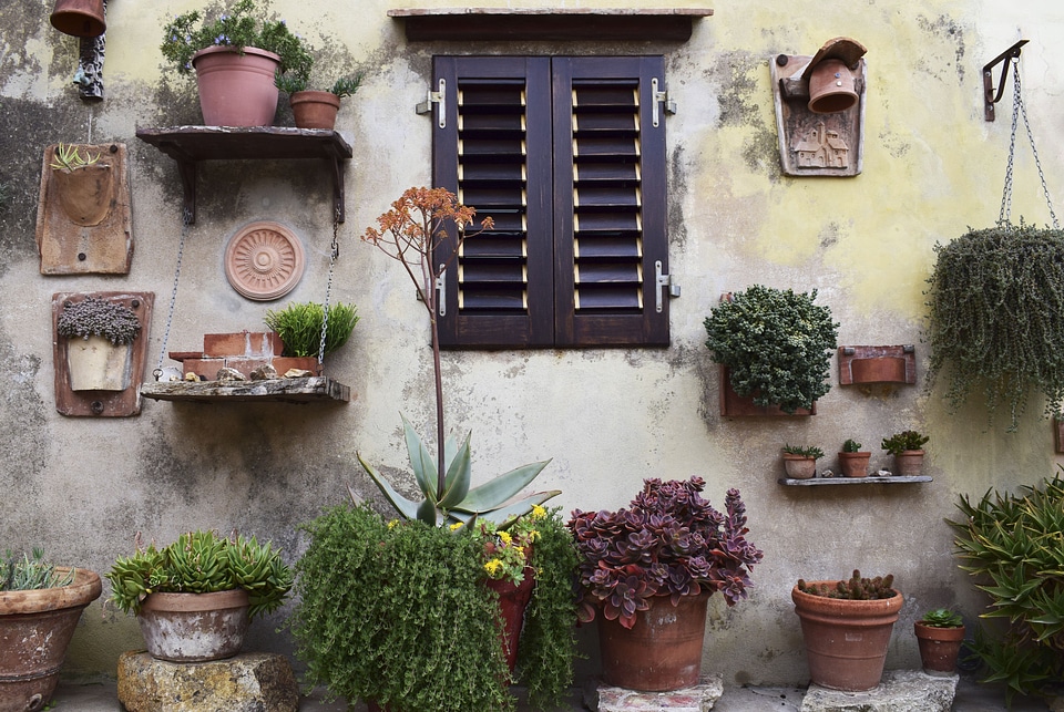 Window Plants Wall House photo