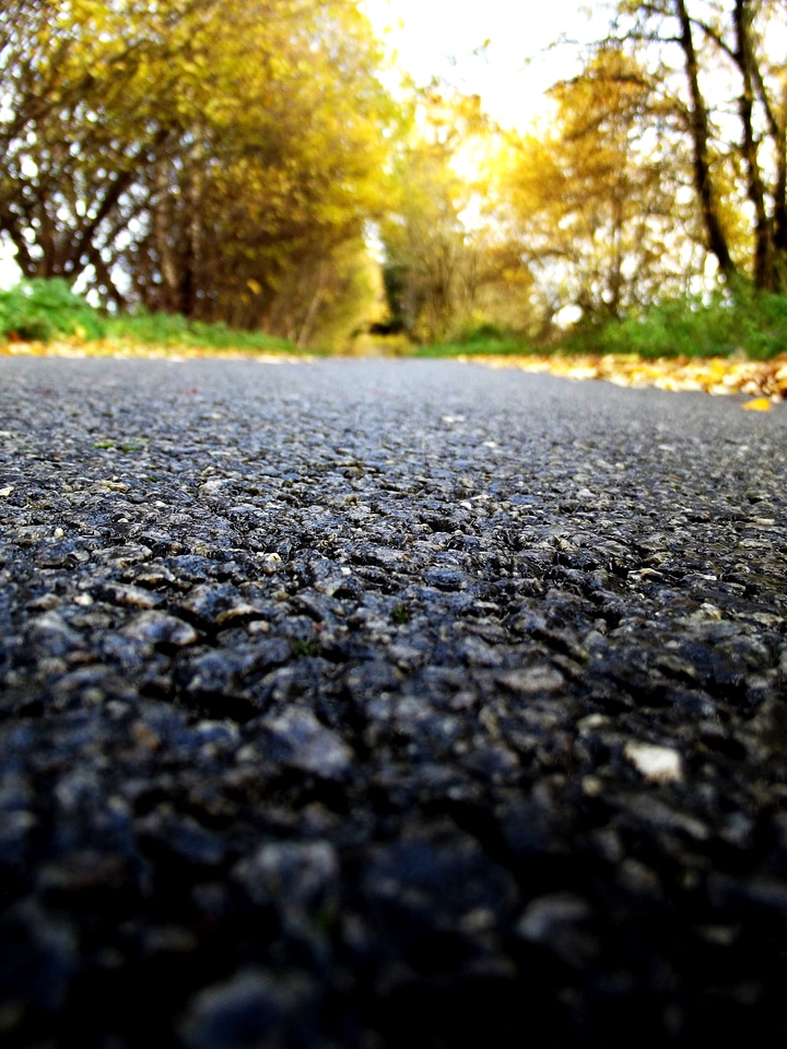 Autumn nature asphalt