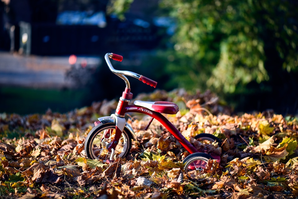 Red Retro Tricycle Child Radio Flyer