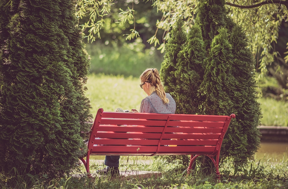 Woman Reading Red Park Bench photo