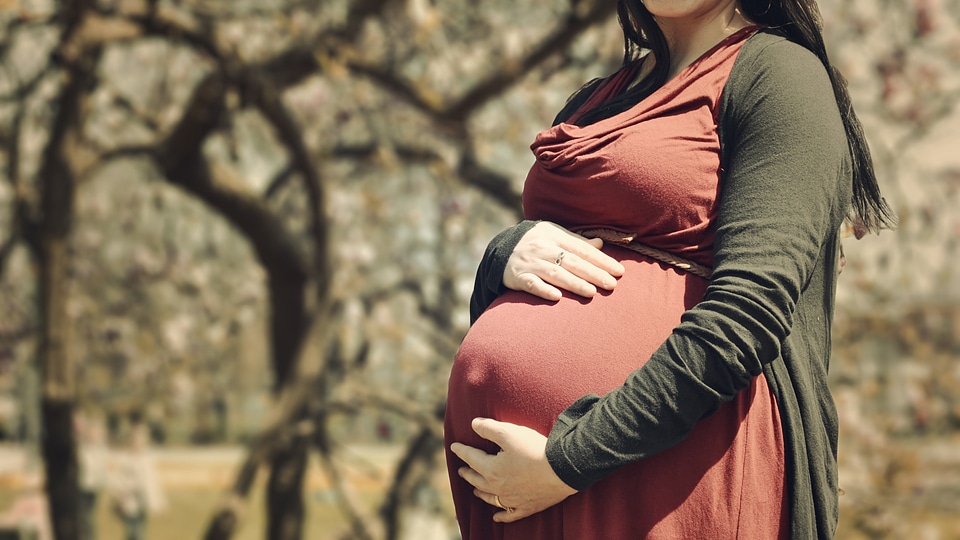 Woman Pregnant Park photo