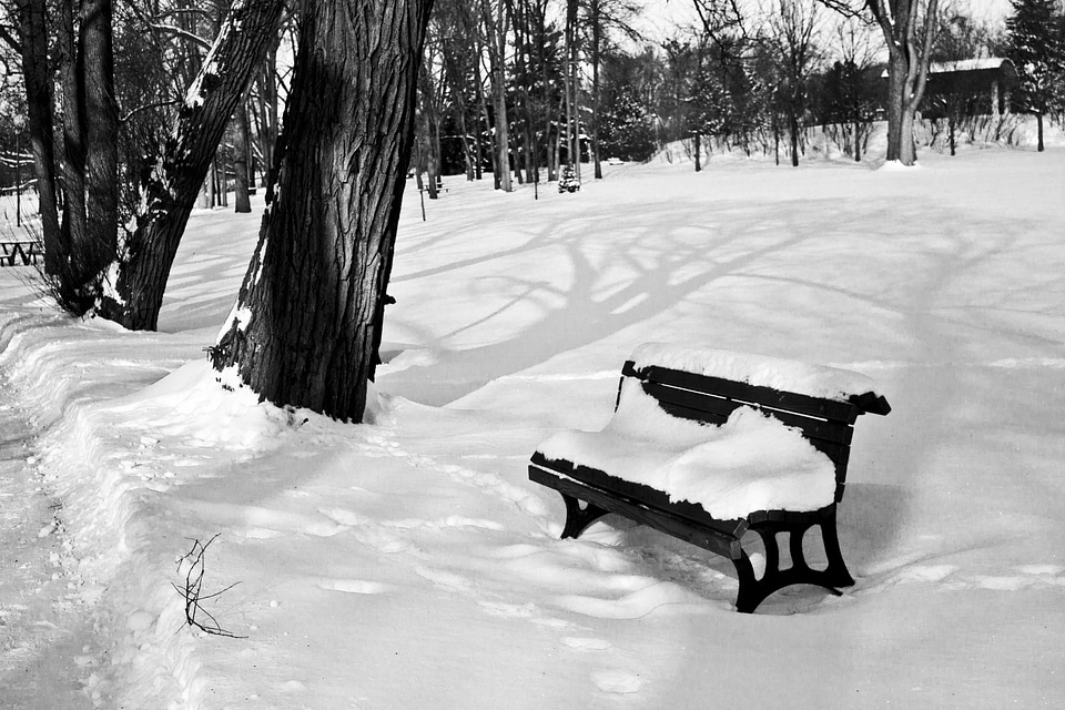 Snowy benches frosty