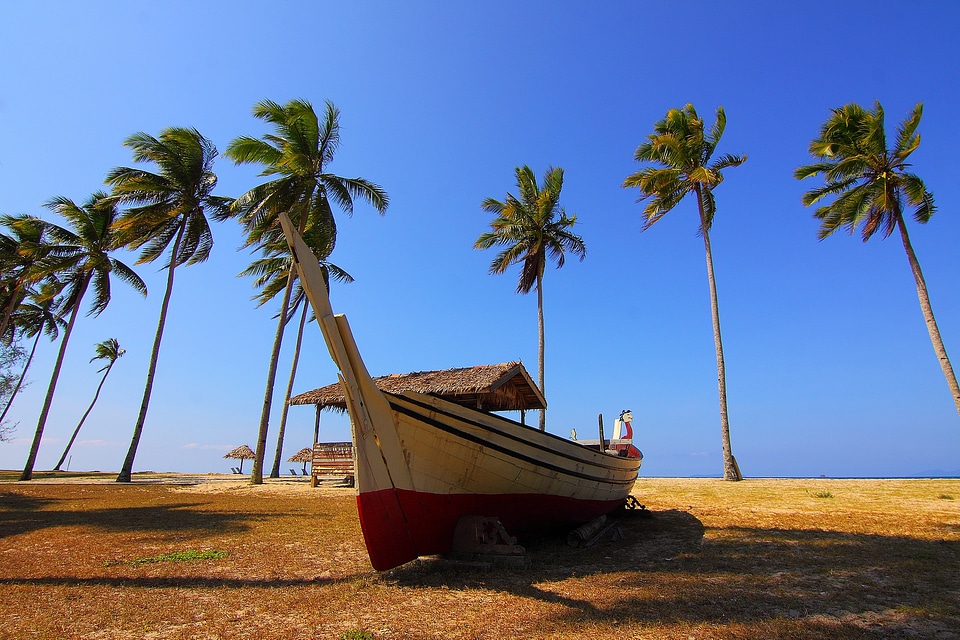 Palm Trees Blue Sky Boat photo