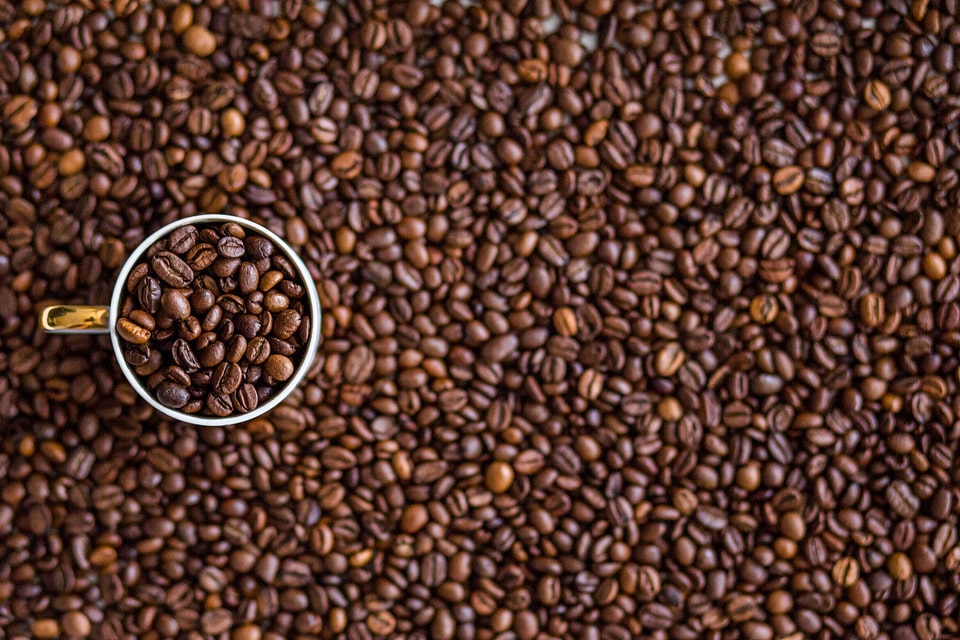 Coffee Cup Full of Beans