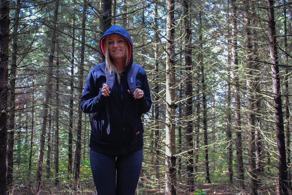 Journey joy forest