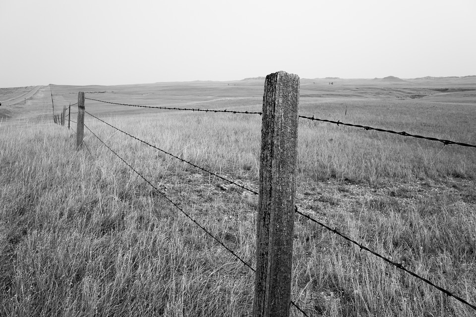 Fence On The Road To Montana