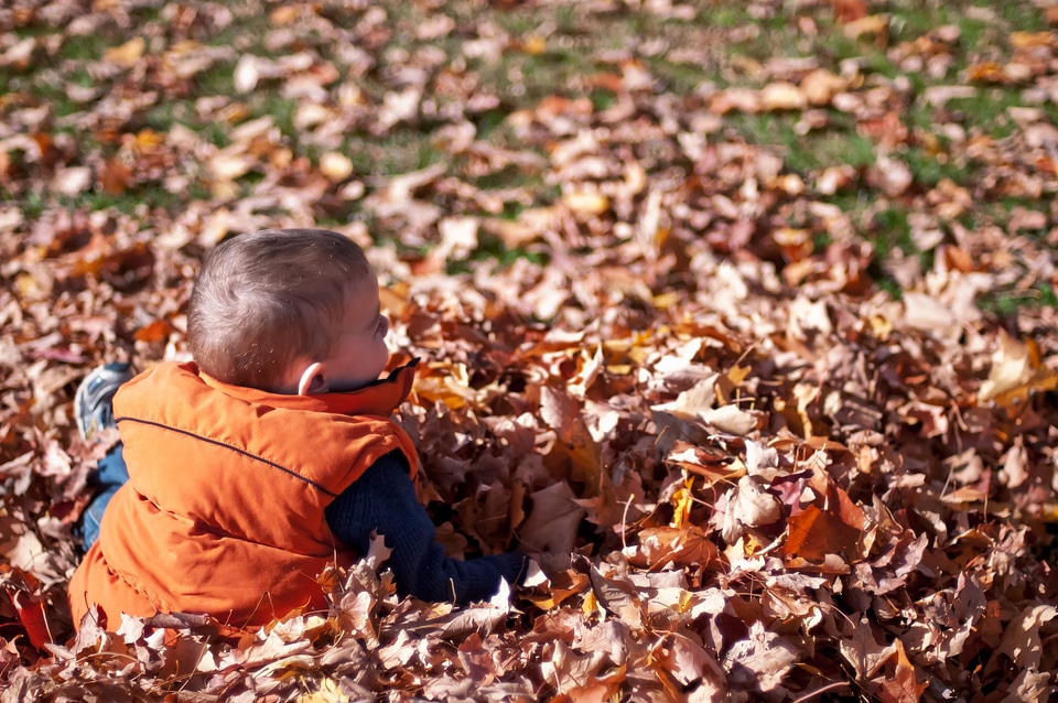 Child Playing In Fall Leaves