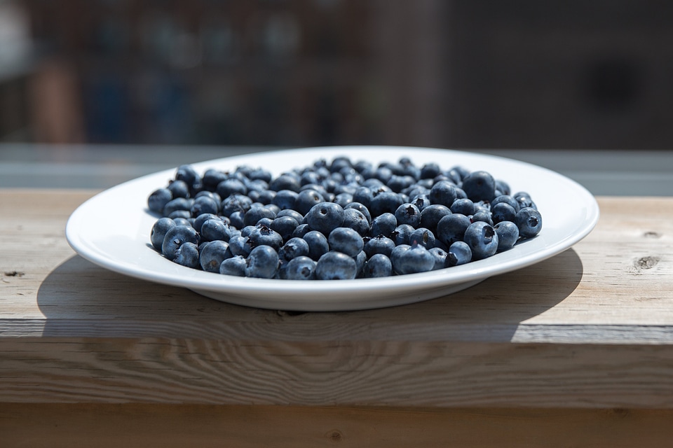 Blueberry Plate On Patio