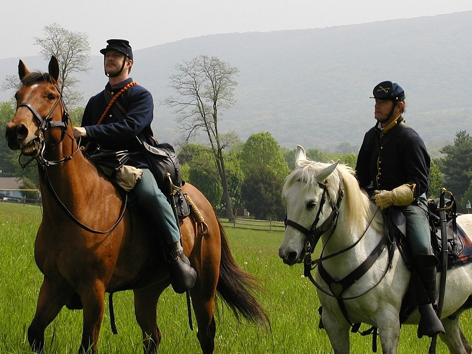 Cavalry mountains horses