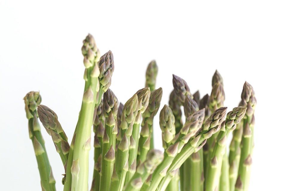 Asparagus On White