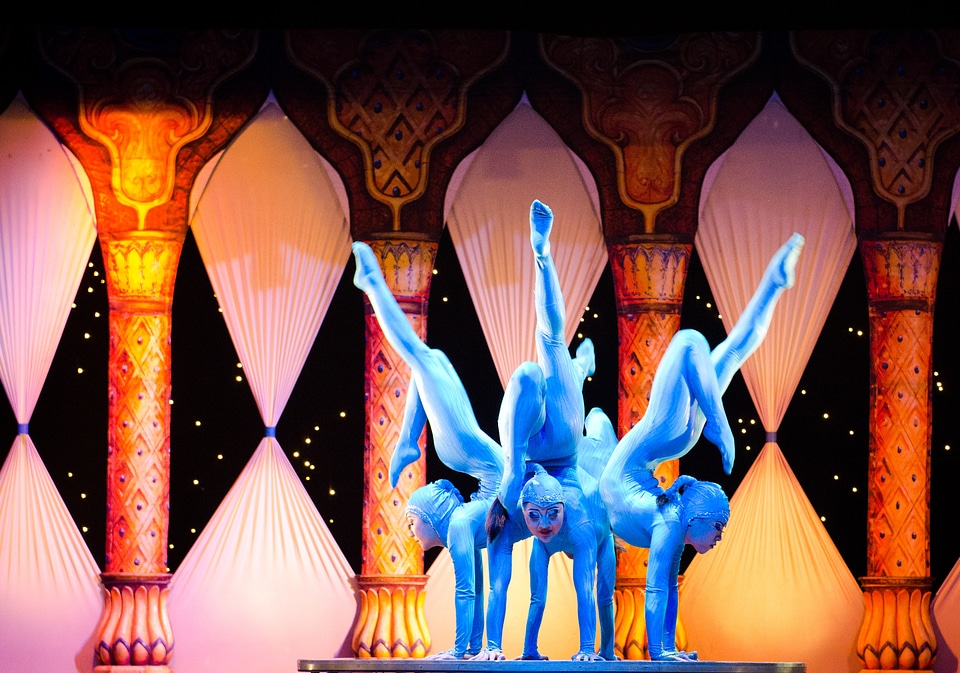 Circus tihany contortion