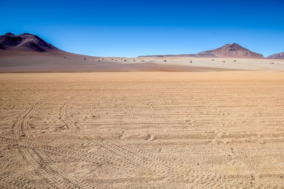 Salvador Dali Desert